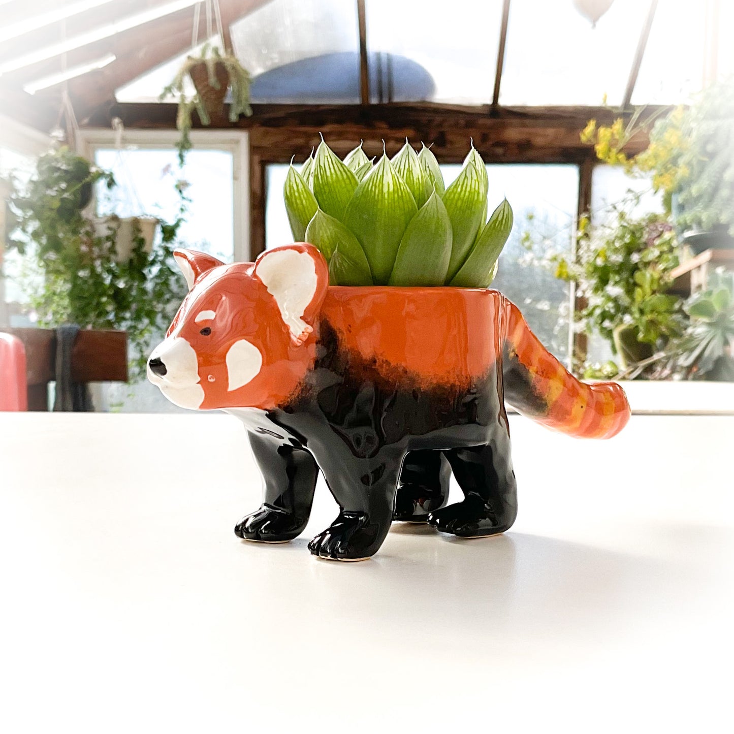 Red Panda Pot - Ceramic Red Panda Bear Planter