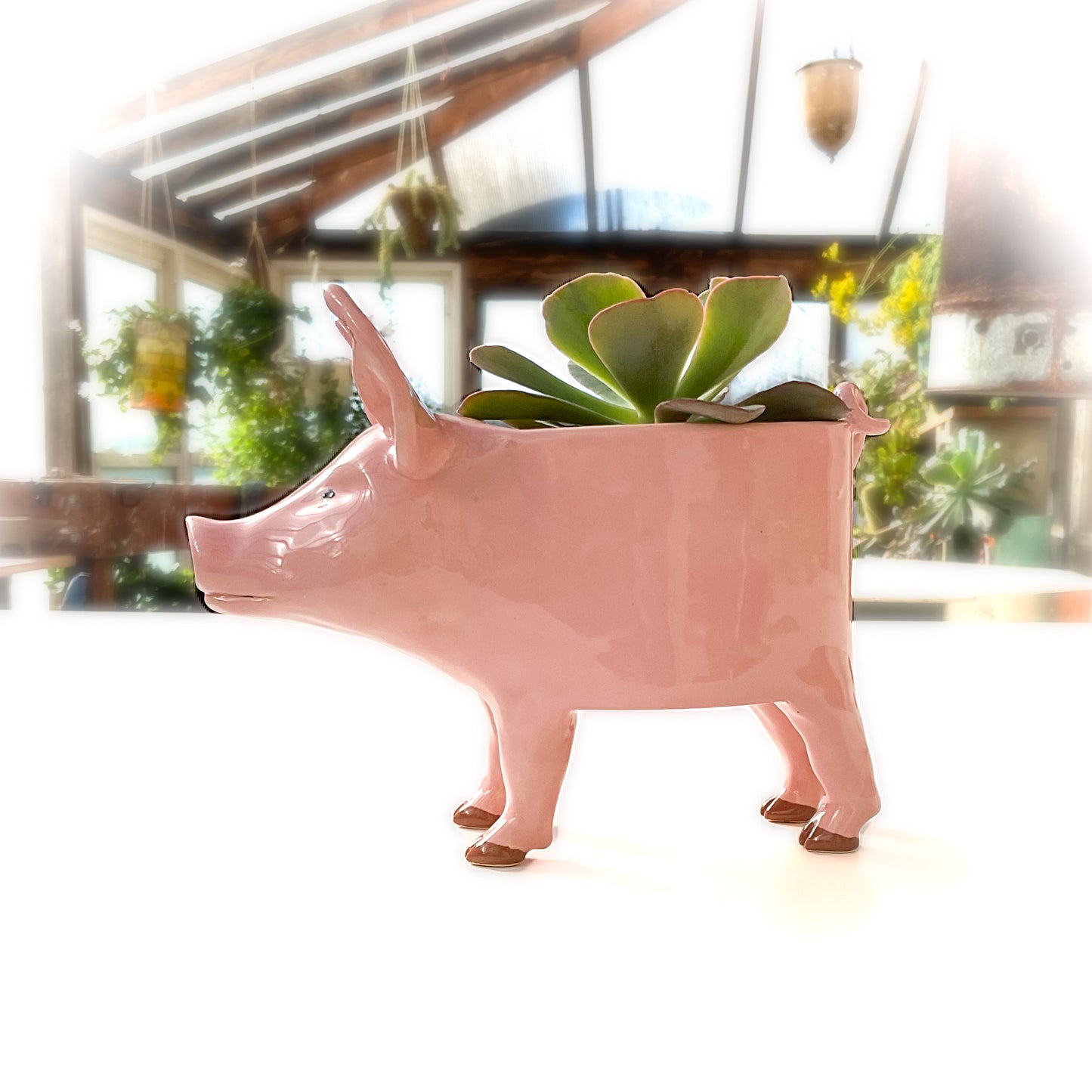 Pink Yorkshire Pig Pot - Ceramic Pig Planter