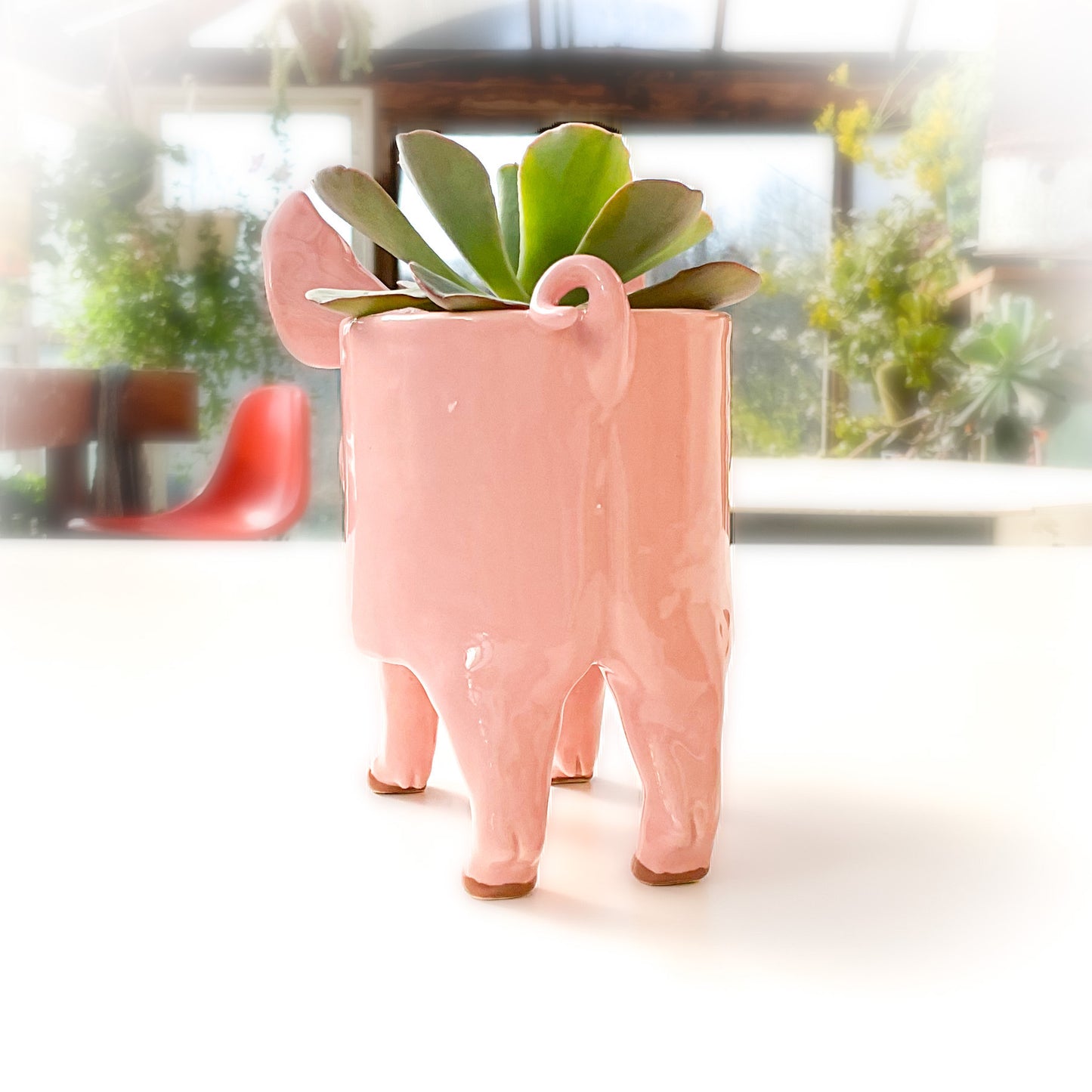 Pink Yorkshire Pig Pot - Ceramic Pig Planter