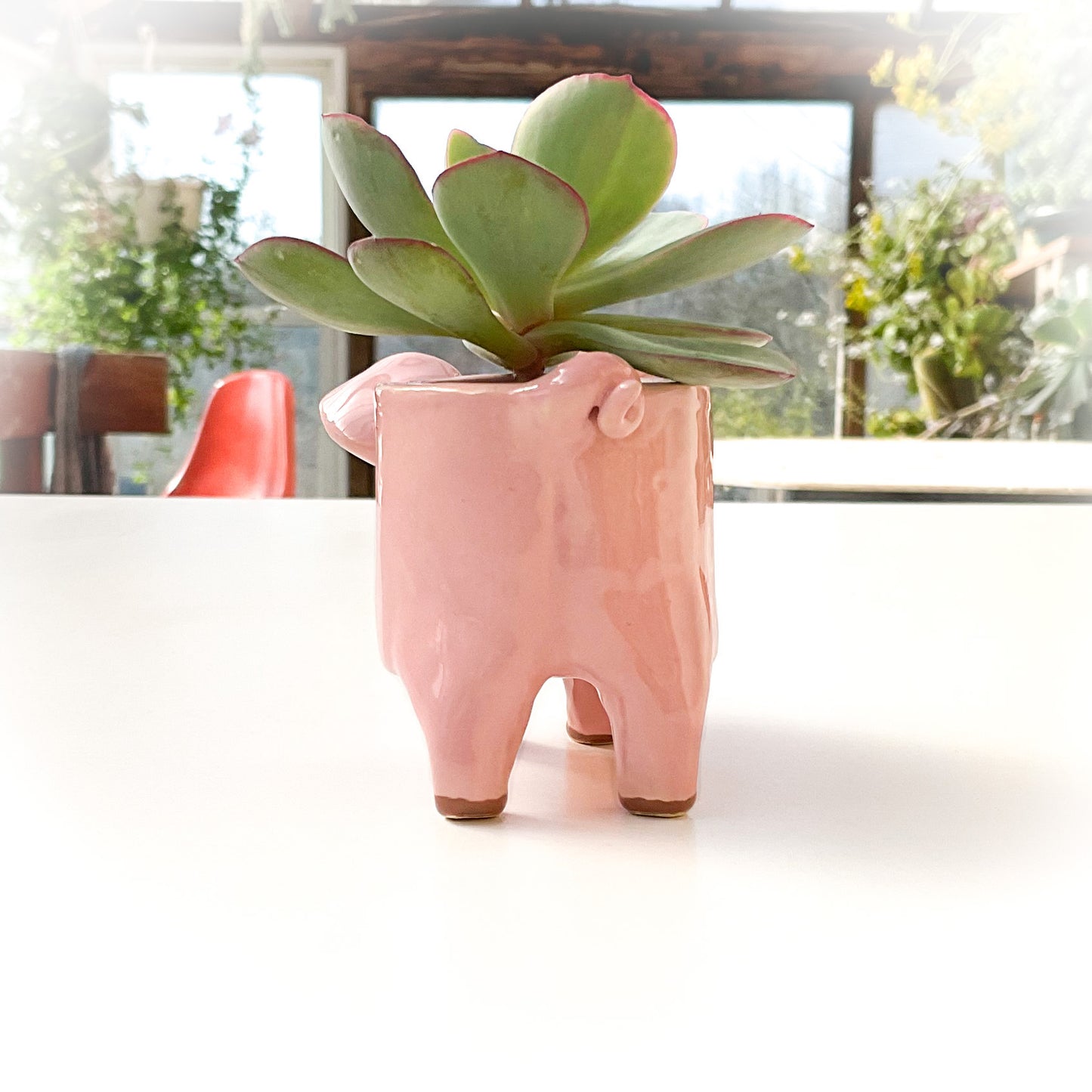 Pink Yorkshire Pig Pot - Ceramic Pig Planter