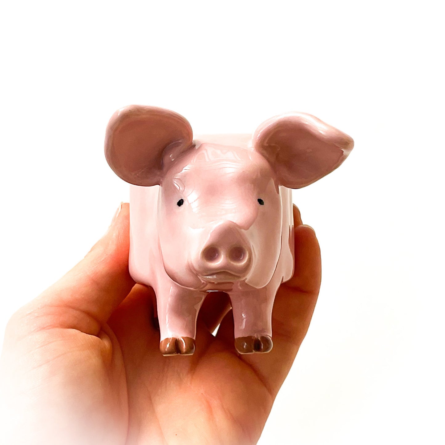 Pink Yorkshire Pig Pot - Ceramic Pig Planter