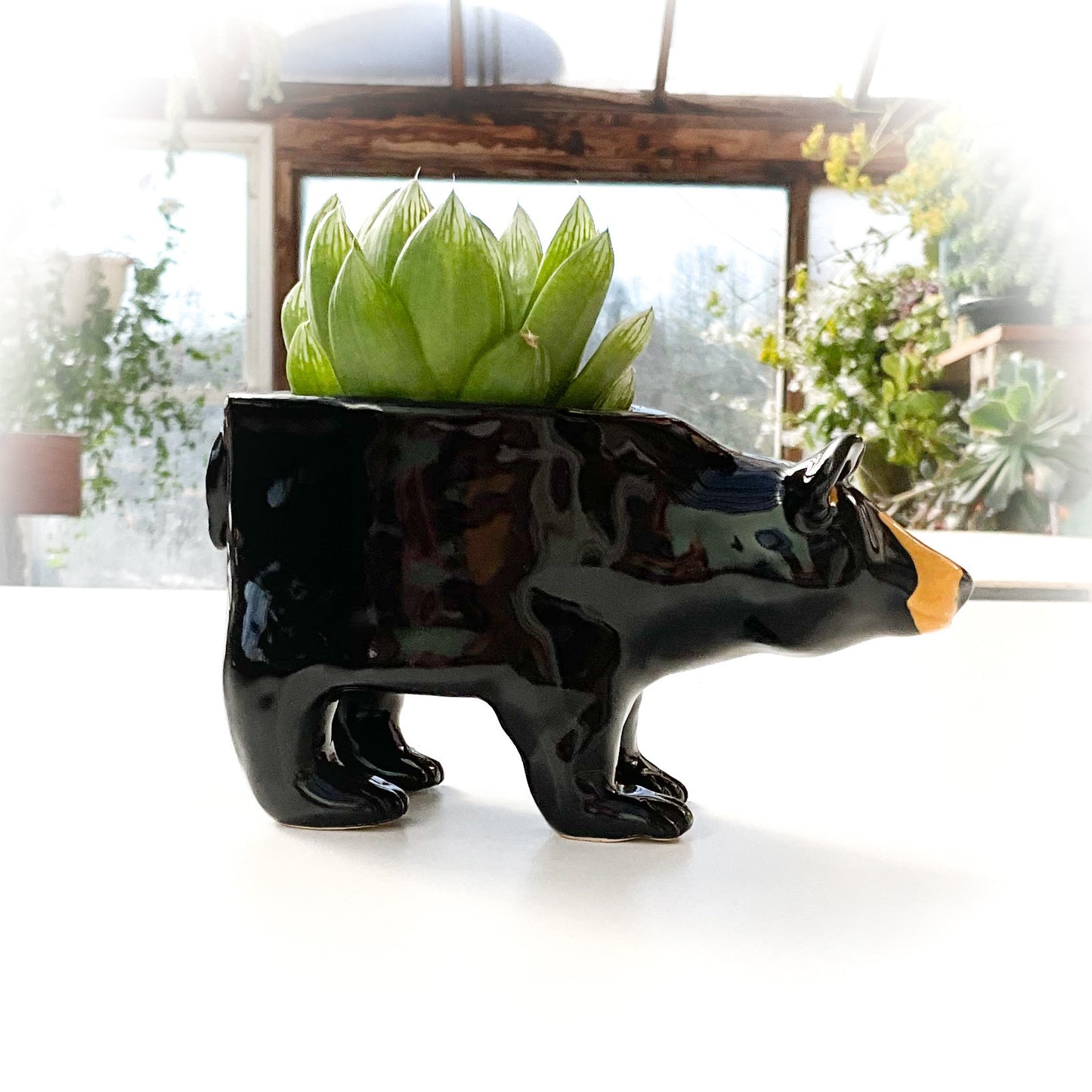 Black Bear Pot - Ceramic Bear Planter