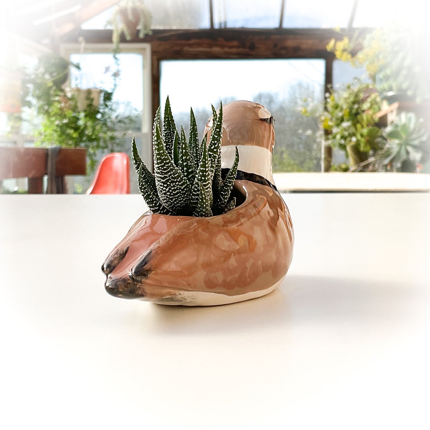 Killdeer Bird Pot - Ceramic Killdeer Planter