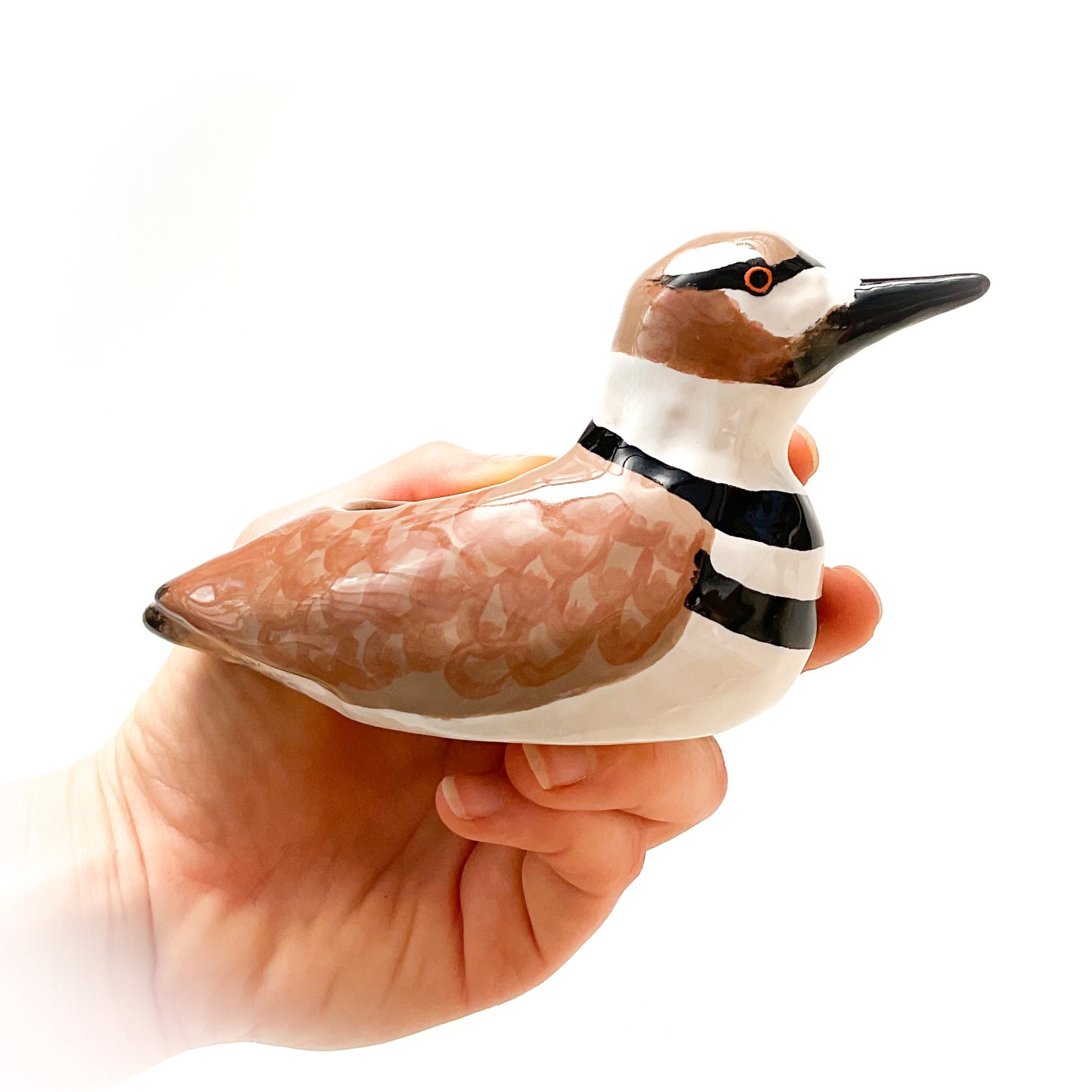 Killdeer Bird Pot - Ceramic Killdeer Planter