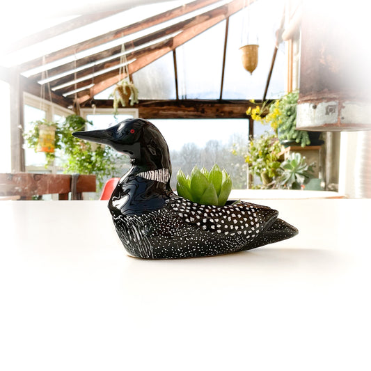 Loon Bird Pot - Ceramic Loon Planter