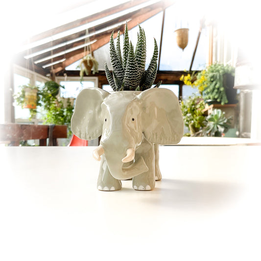 African Elephant Pot - Ceramic Elephant Planter