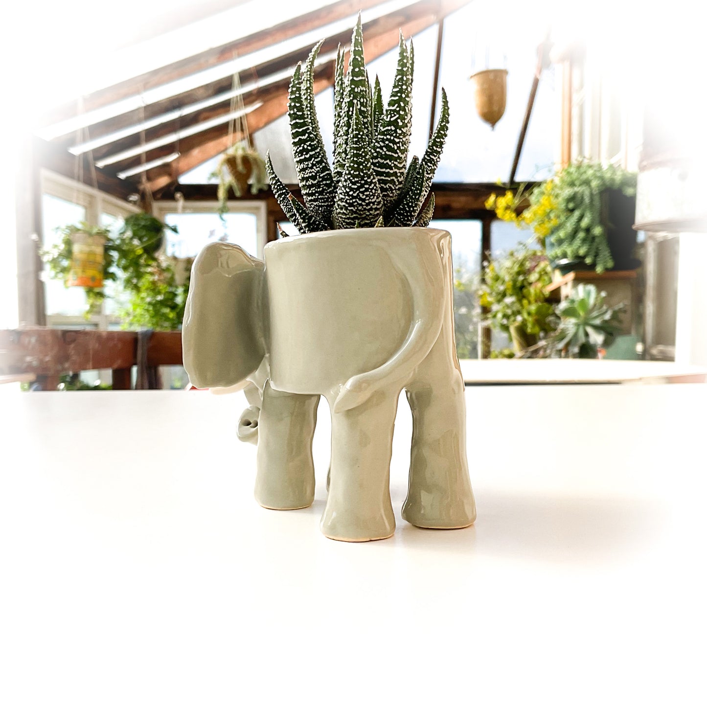 African Elephant Pot - Ceramic Elephant Planter