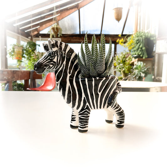 Zebra Pot - Ceramic Zebra Planter