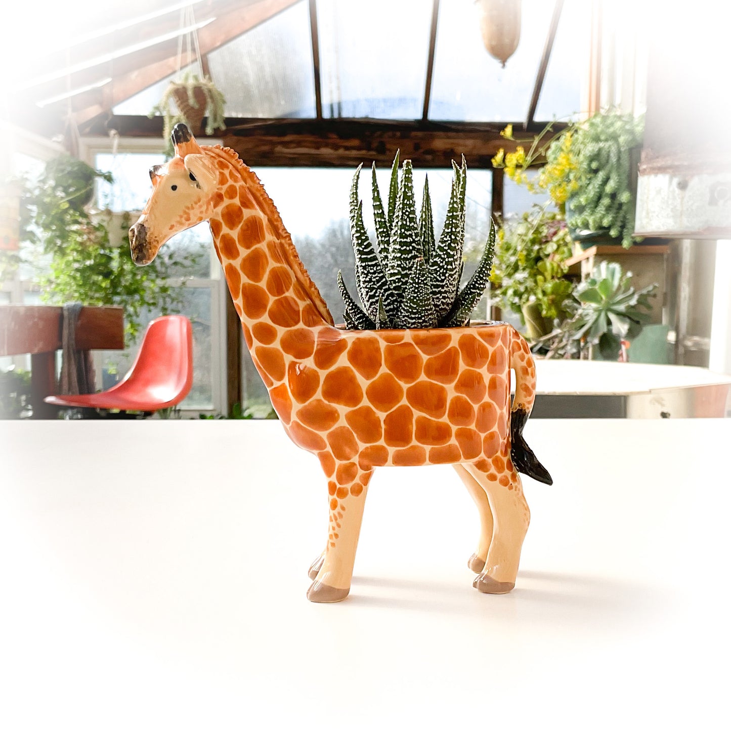 Giraffe Pot - Ceramic Giraffe Planter