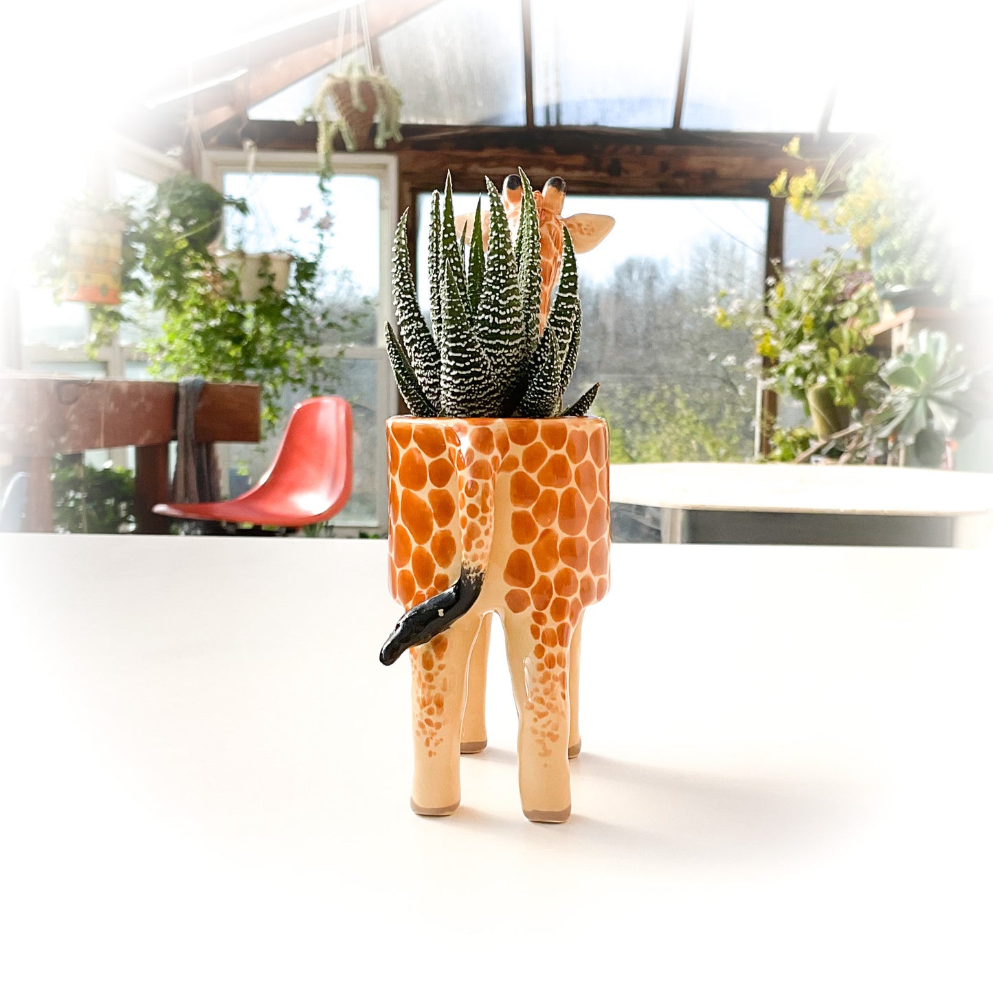 Giraffe Pot - Ceramic Giraffe Planter