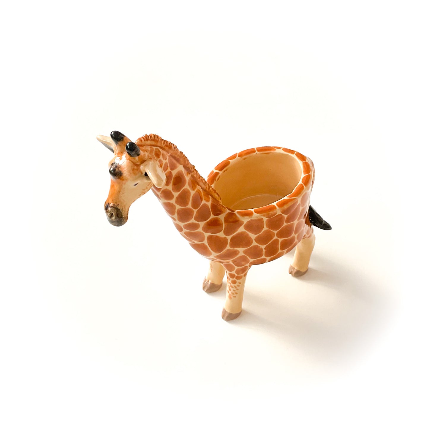 Giraffe Pot - Ceramic Giraffe Planter