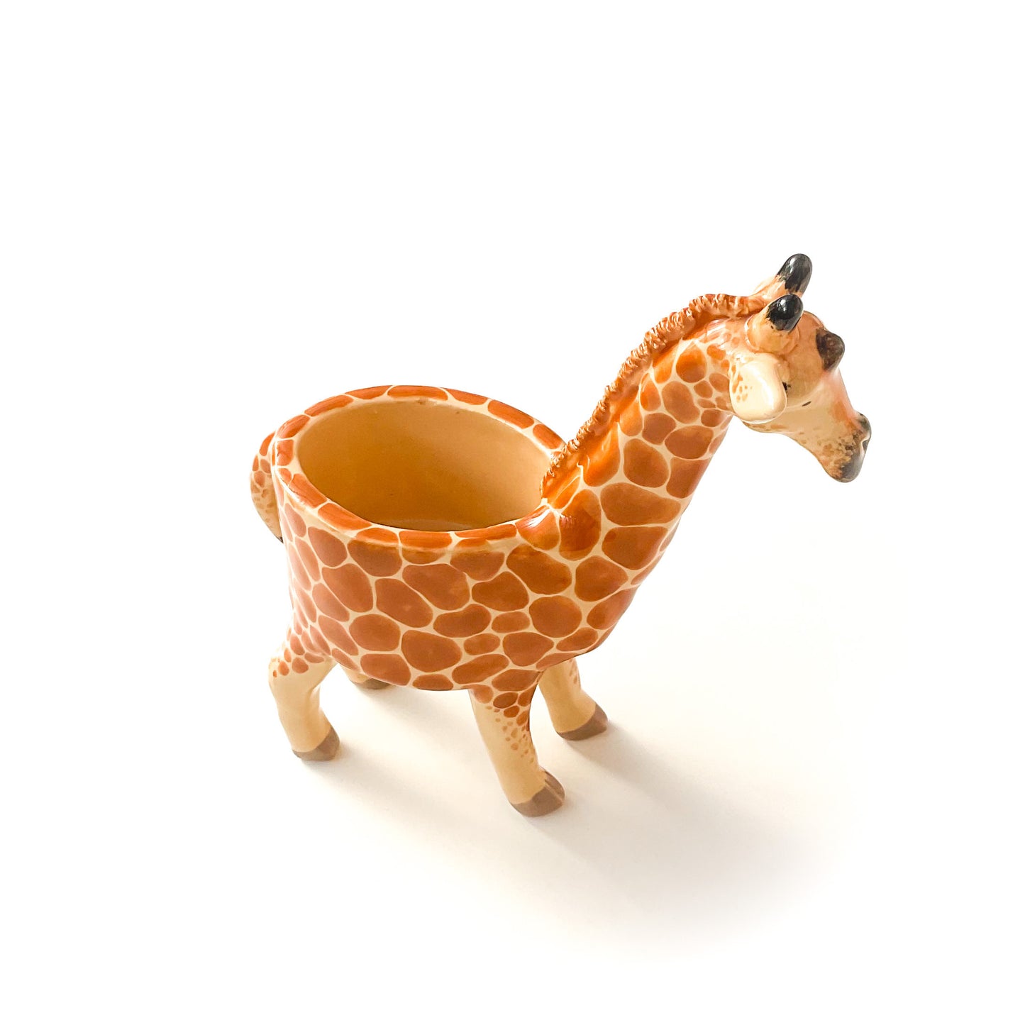 Giraffe Pot - Ceramic Giraffe Planter