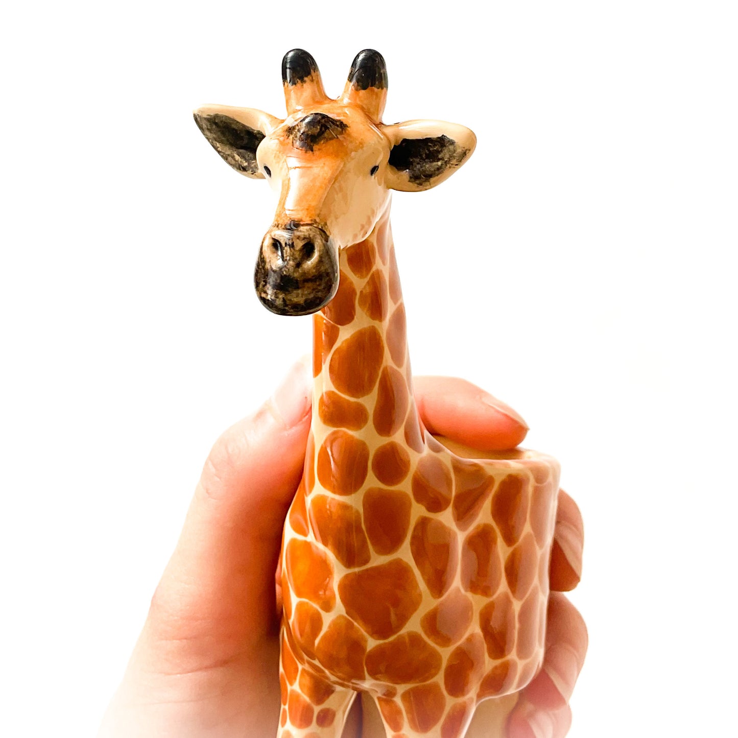 Giraffe Pot - Ceramic Giraffe Planter