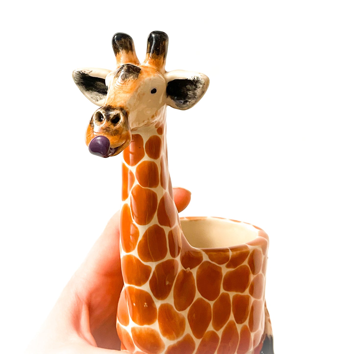 Giraffe Planter - Giraffe Succulent Pot