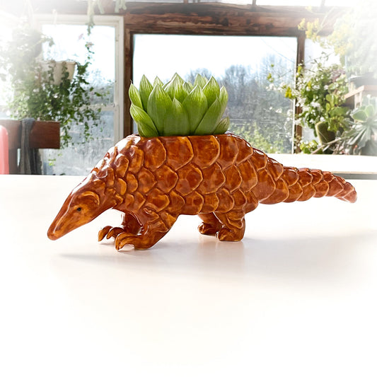 Pangolin Pot - Ceramic Pangolin Planter