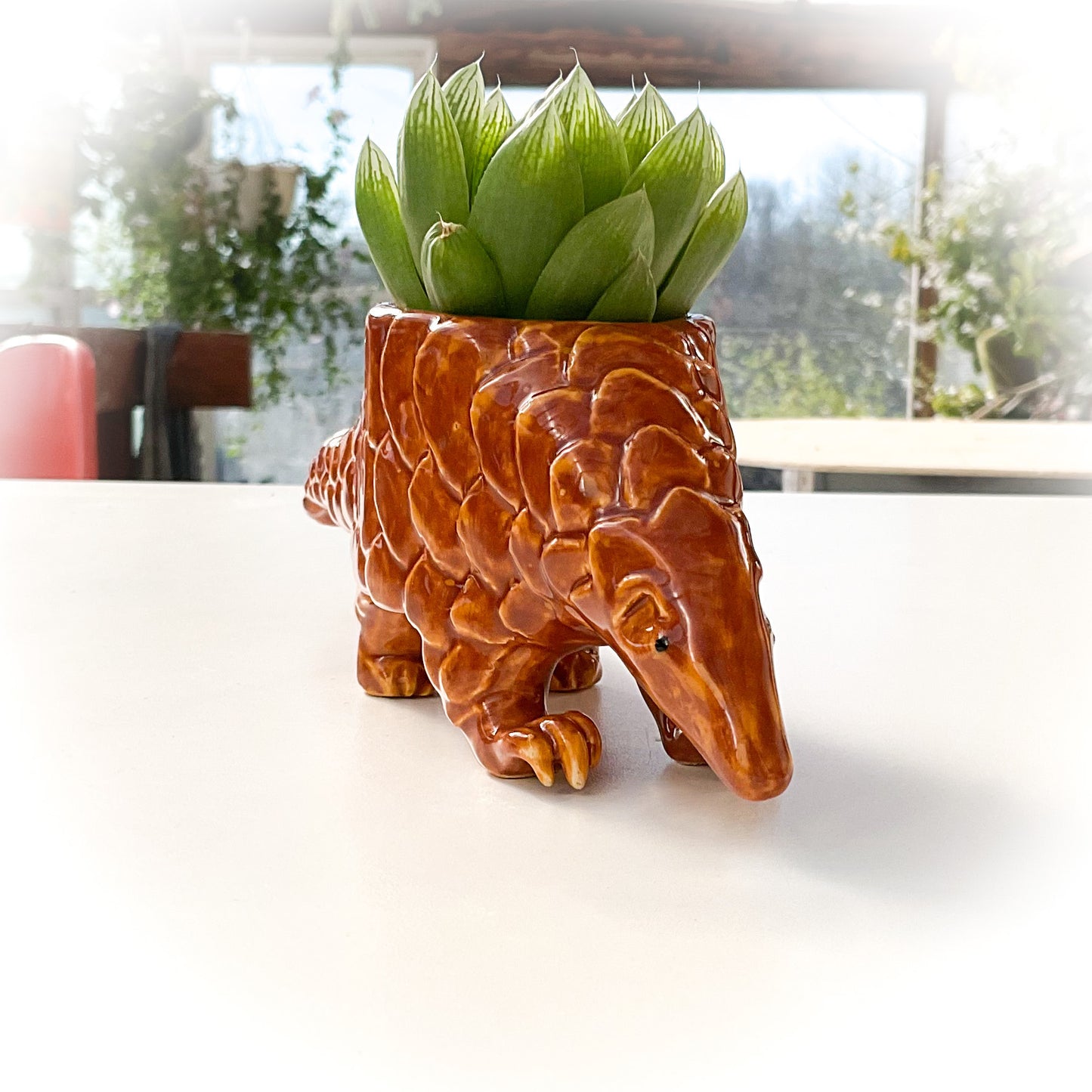 Pangolin Pot - Ceramic Pangolin Planter