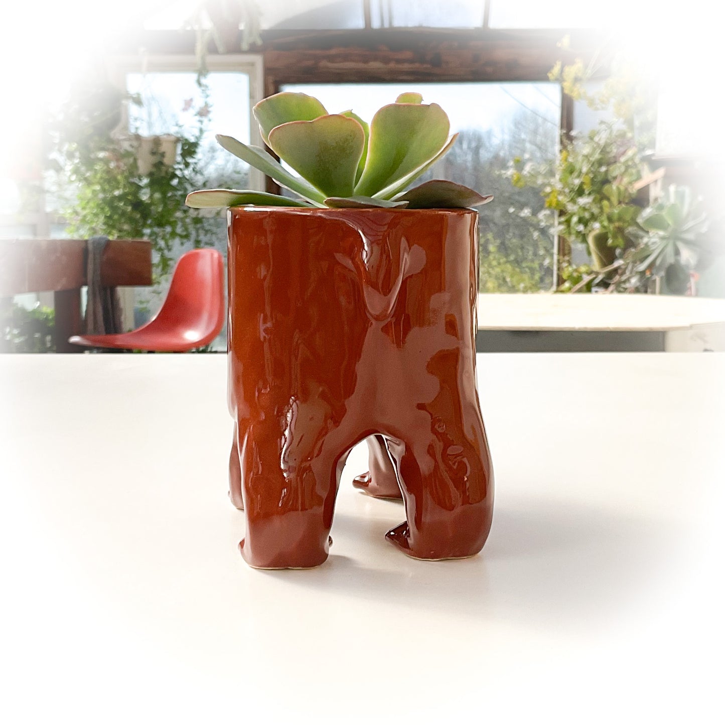 Grizzly Bear Pot - Ceramic Bear Planter