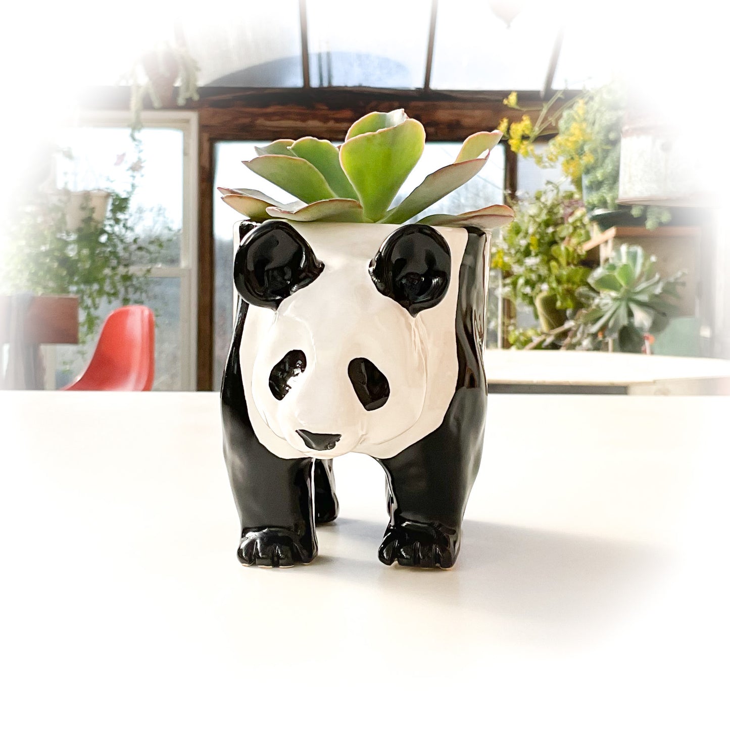 Giant Panda Pot - Ceramic Panda Bear Planter