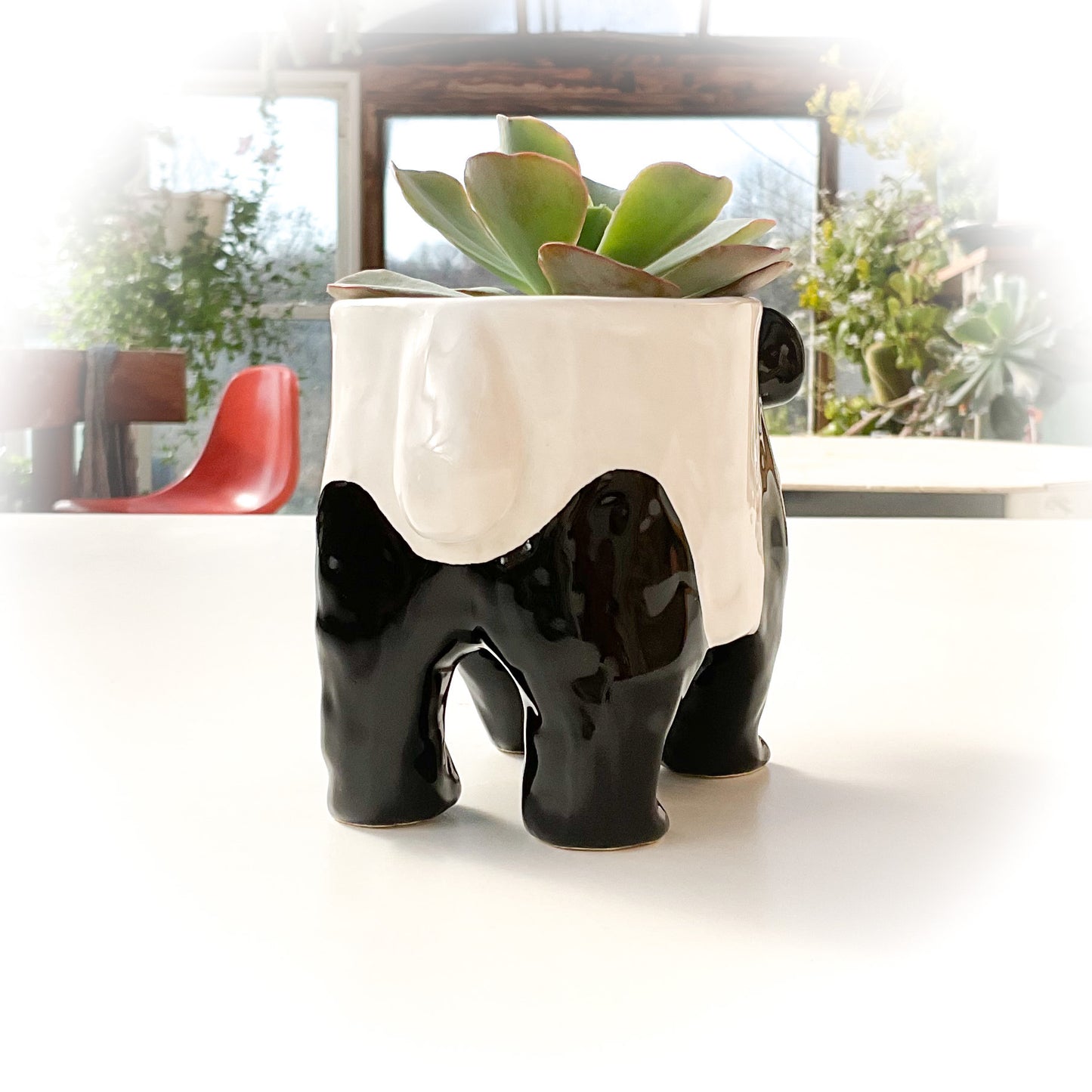 Giant Panda Pot - Ceramic Panda Bear Planter