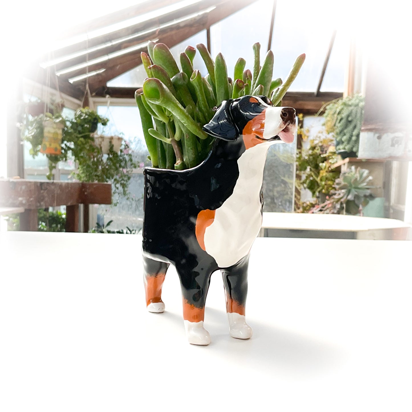 Bernese Mountain Dog Planter - Ceramic Dog Plant Pot