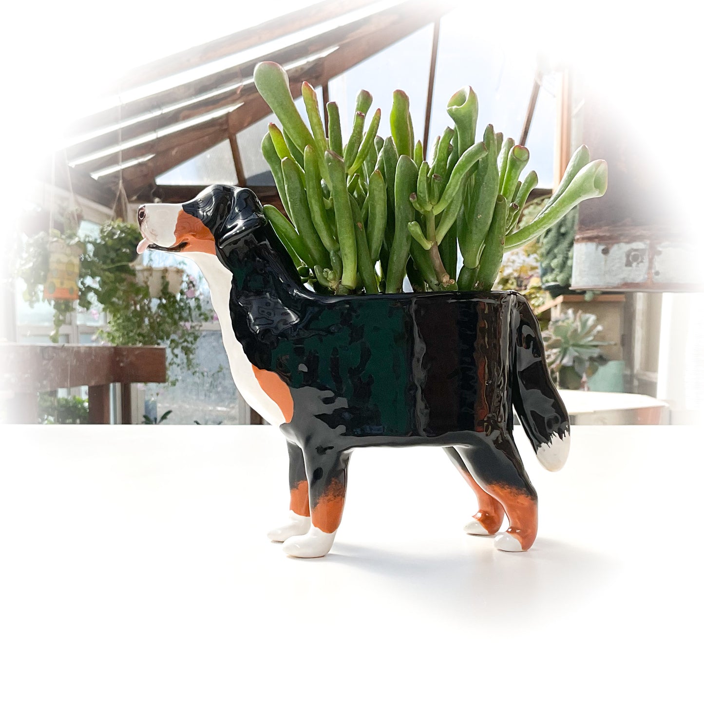 Bernese Mountain Dog Planter - Ceramic Dog Plant Pot