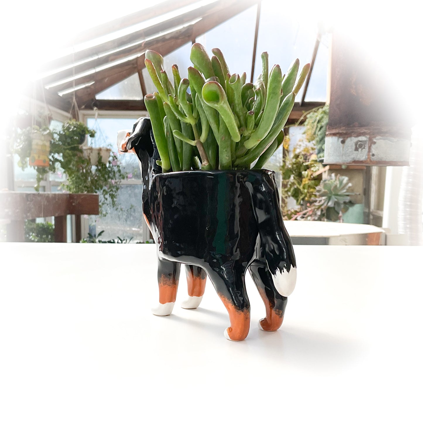 Bernese Mountain Dog Planter - Ceramic Dog Plant Pot