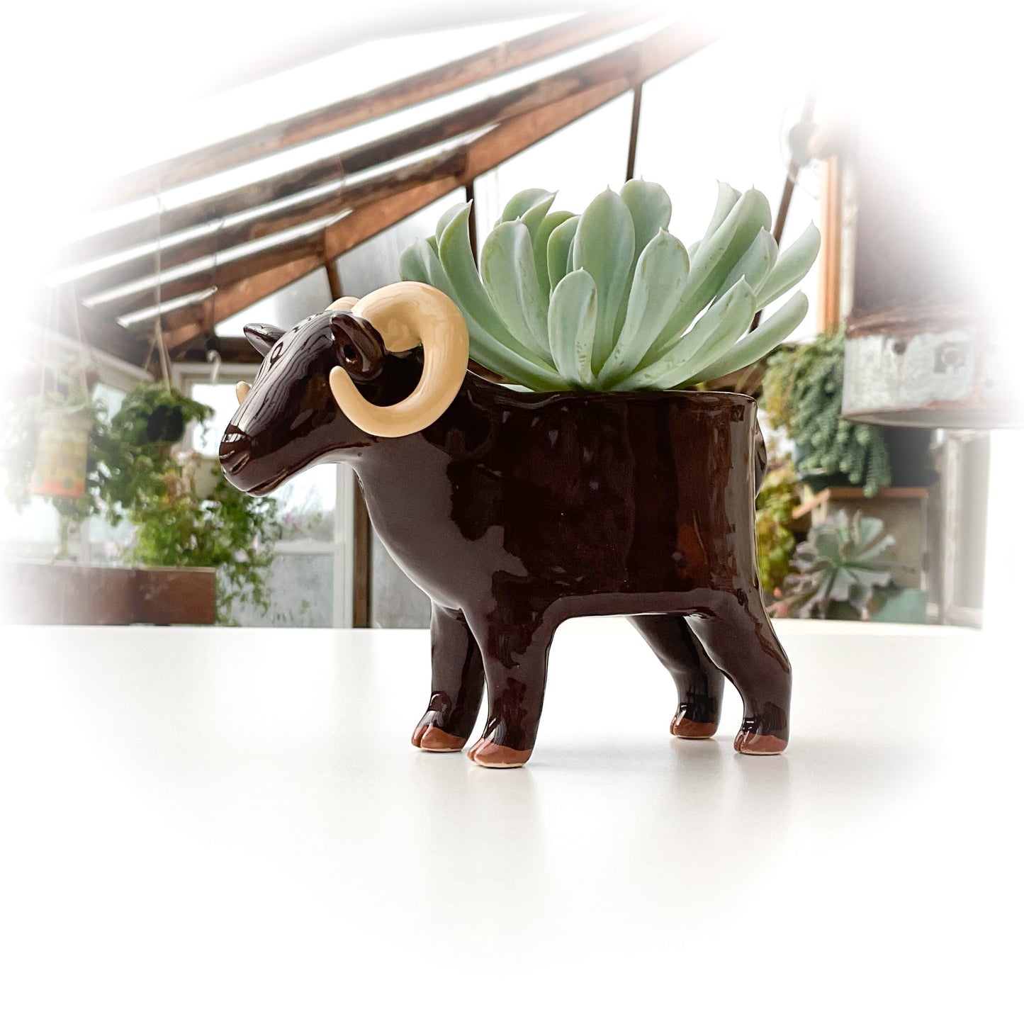 Brown Sheep Pot - Ceramic Sheep Planter