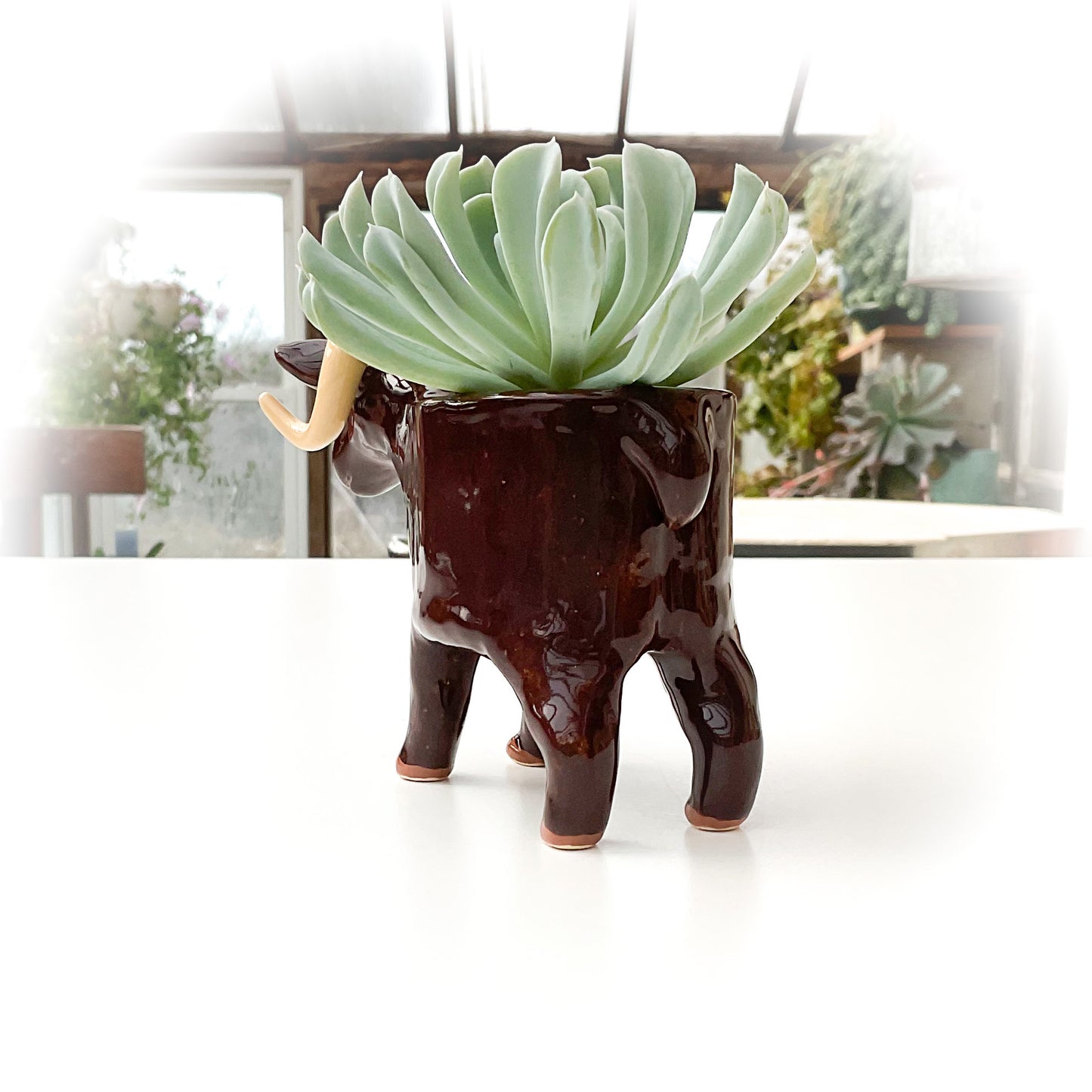 Brown Sheep Pot - Ceramic Sheep Planter