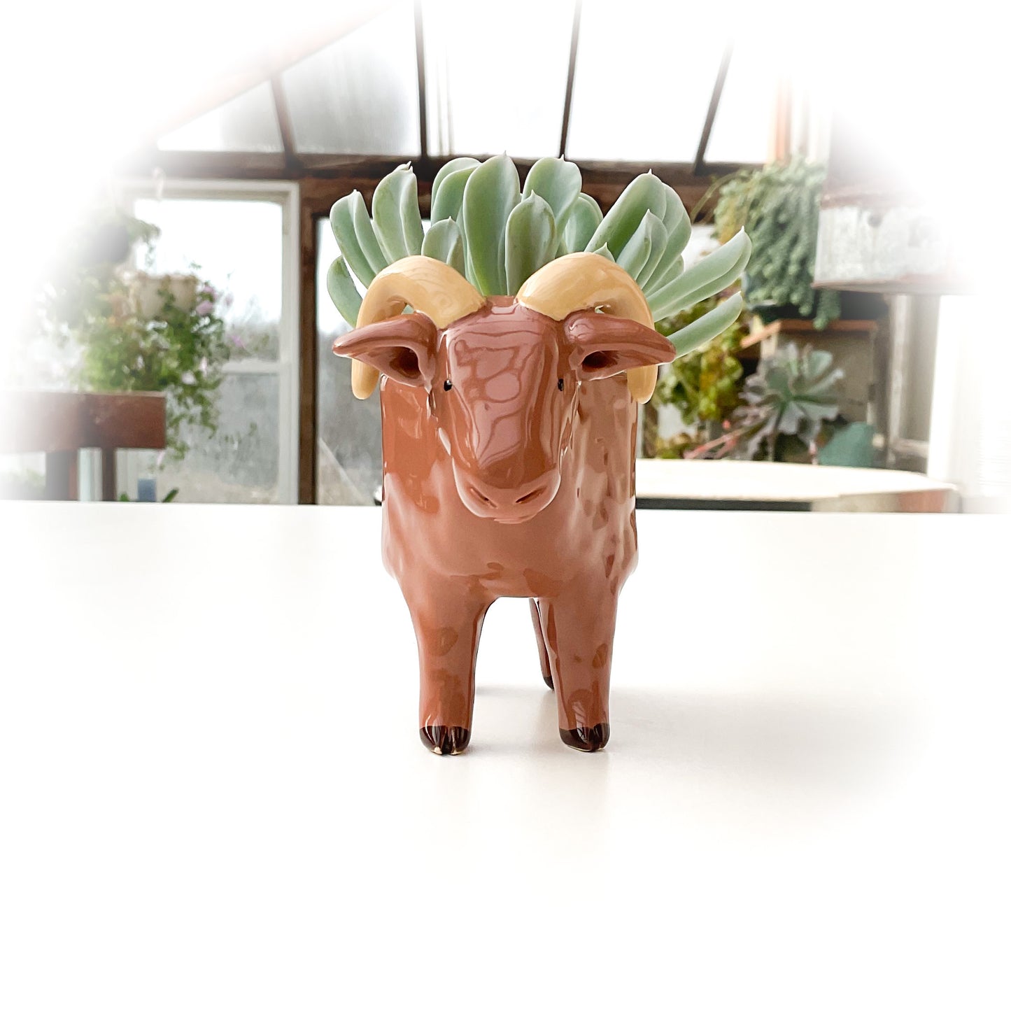 Light Brown Sheep Pot - Ceramic Sheep Planter