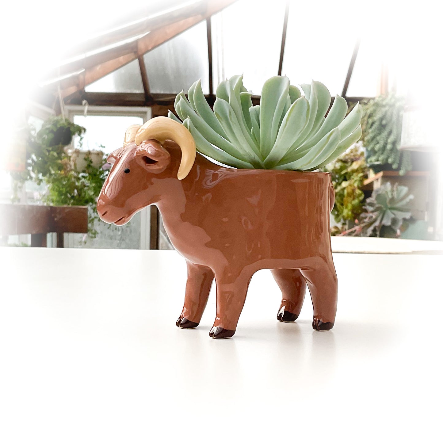 Light Brown Sheep Pot - Ceramic Sheep Planter