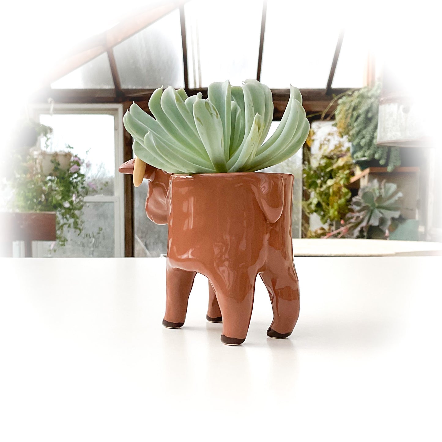 Light Brown Sheep Pot - Ceramic Sheep Planter