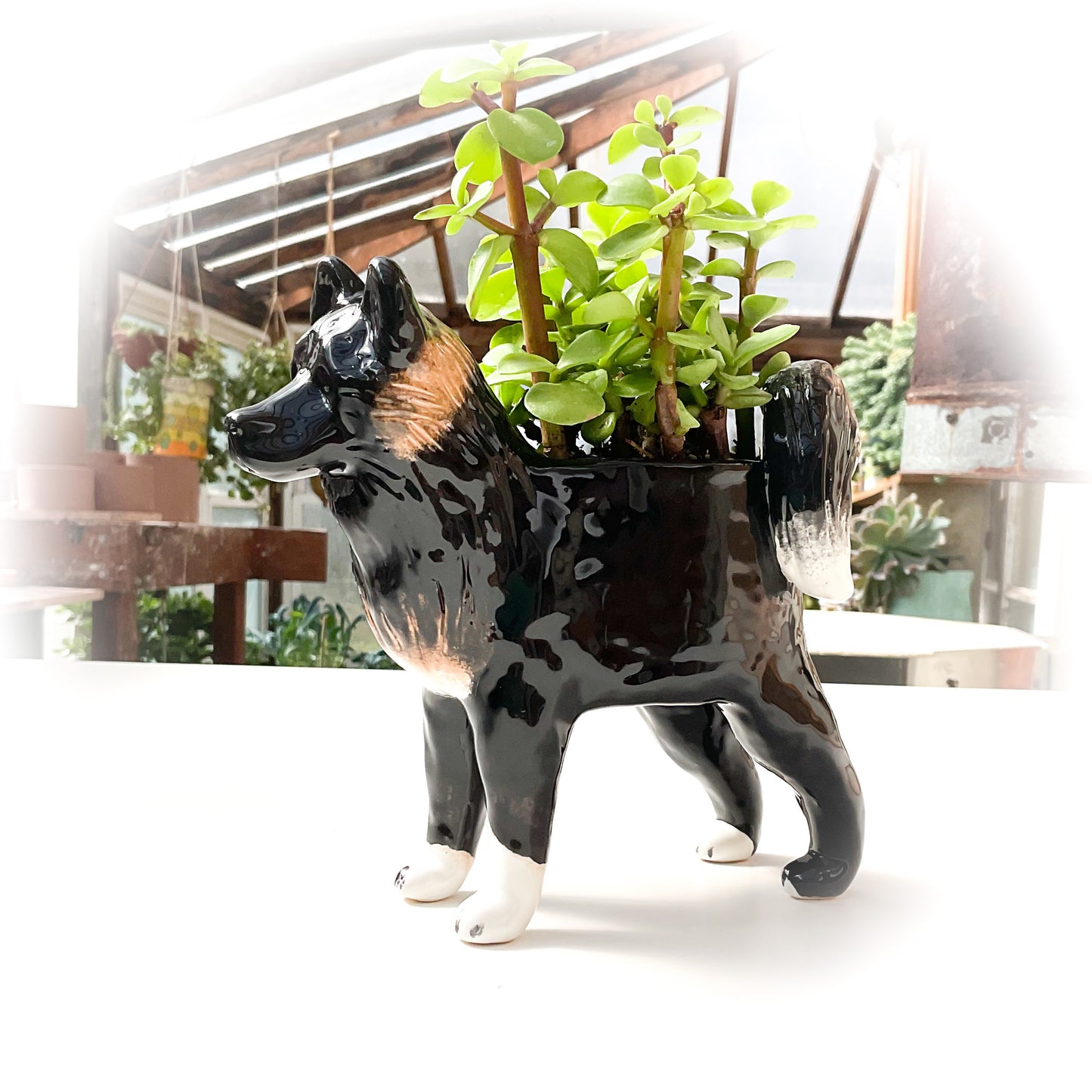 American Akita Dog Planter - Ceramic Dog Plant Pot