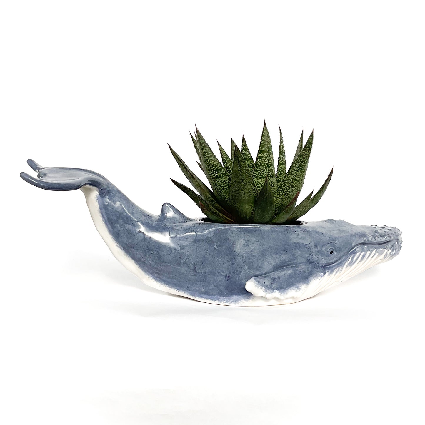 Humpback Whale Pot- Ceramic Whale Planter