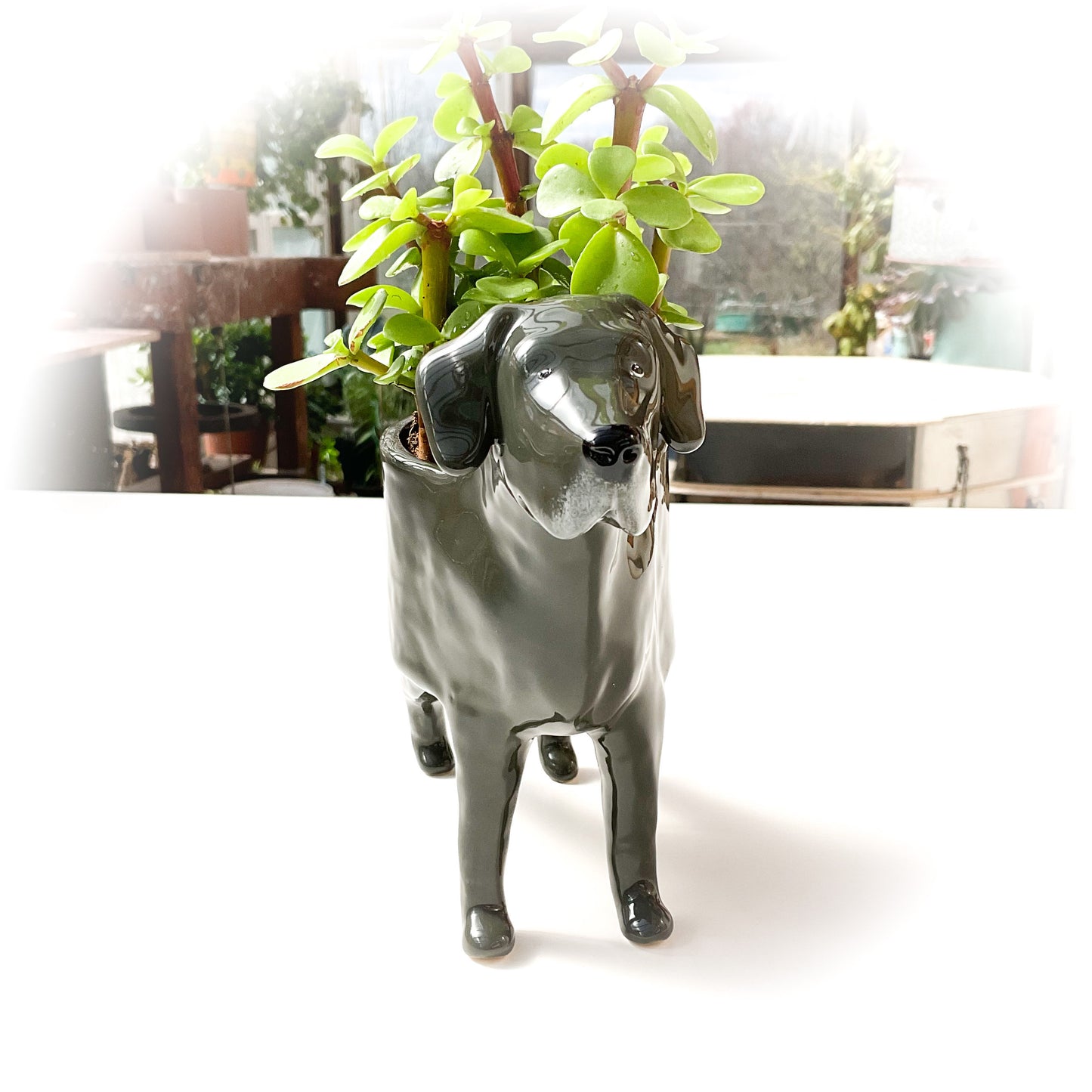 Great Dane Dog Planter - Ceramic Dog Plant Pot