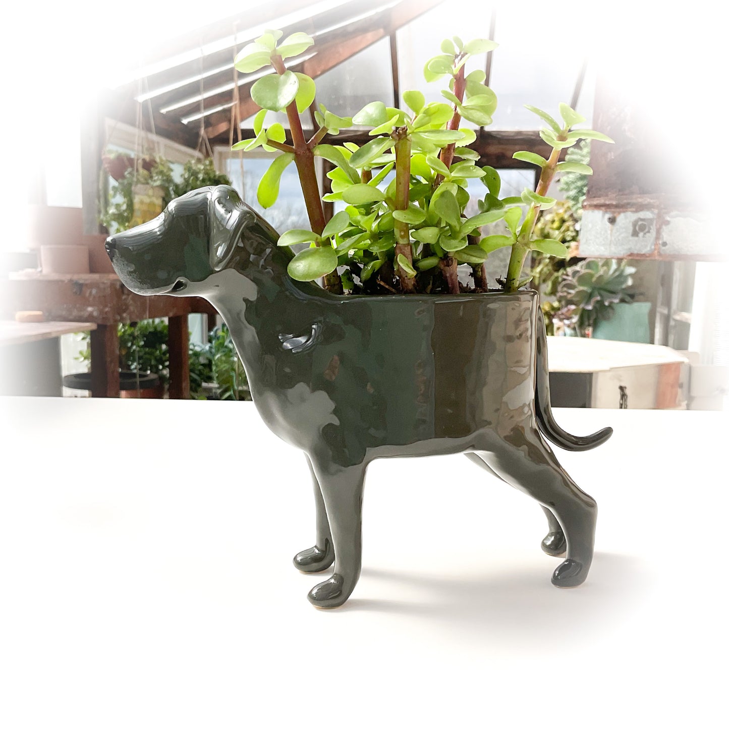 Great Dane Dog Planter - Ceramic Dog Plant Pot