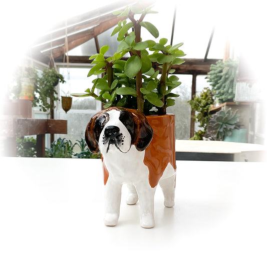 Saint Bernard Dog Planter - Ceramic Dog Plant Pot