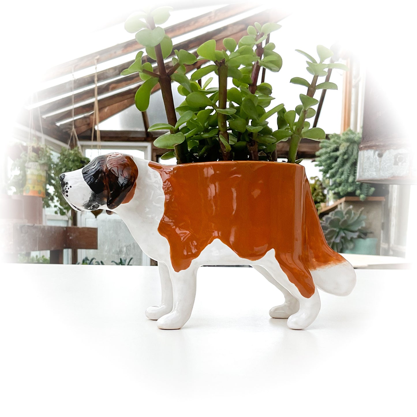 Saint Bernard Dog Planter - Ceramic Dog Plant Pot