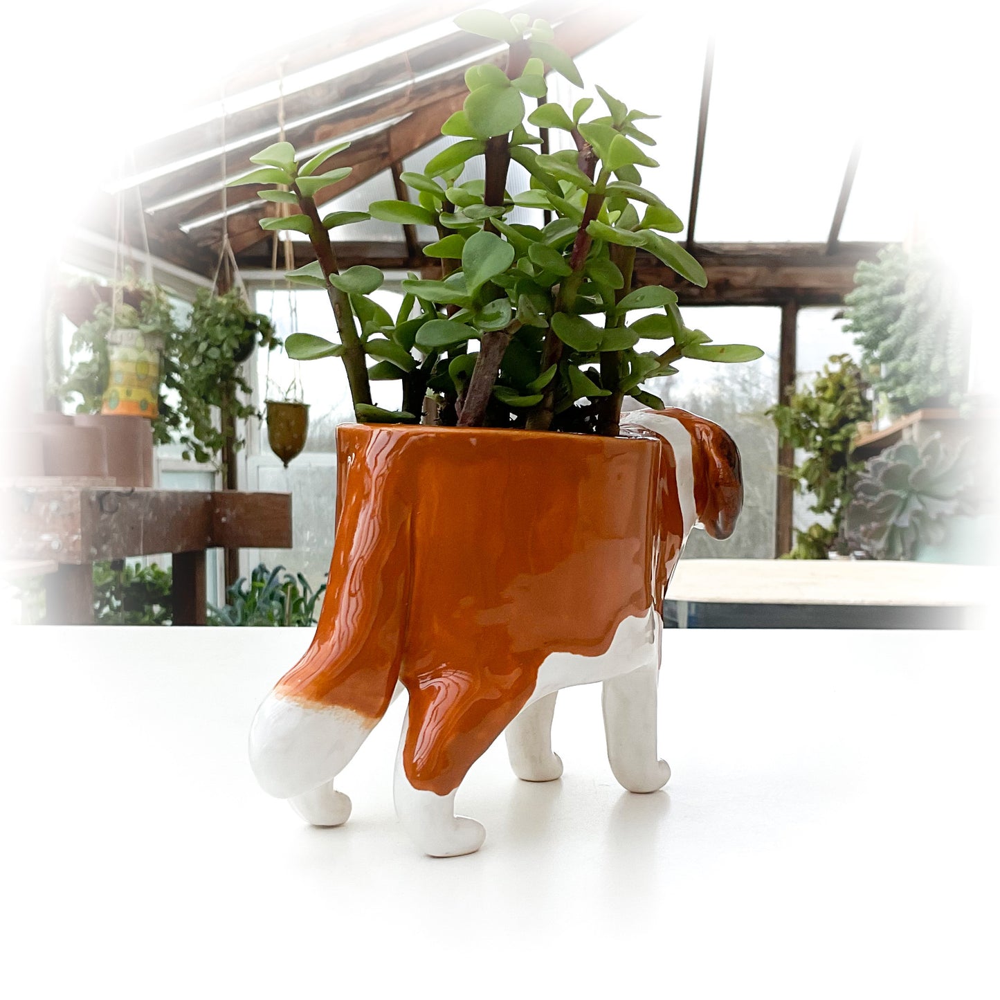 Saint Bernard Dog Planter - Ceramic Dog Plant Pot