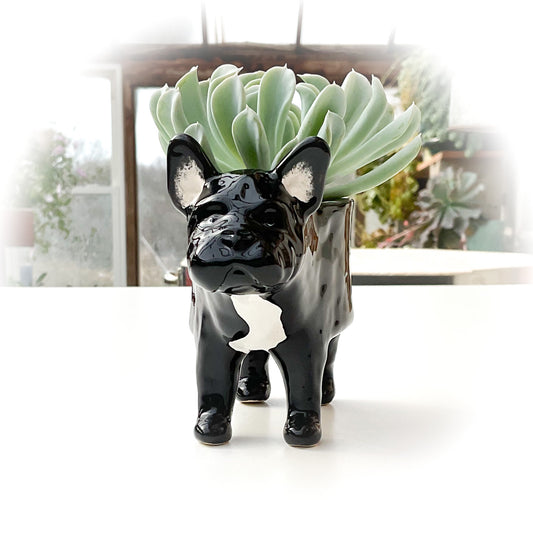 French Bulldog Dog Planter - Ceramic Dog Plant Pot