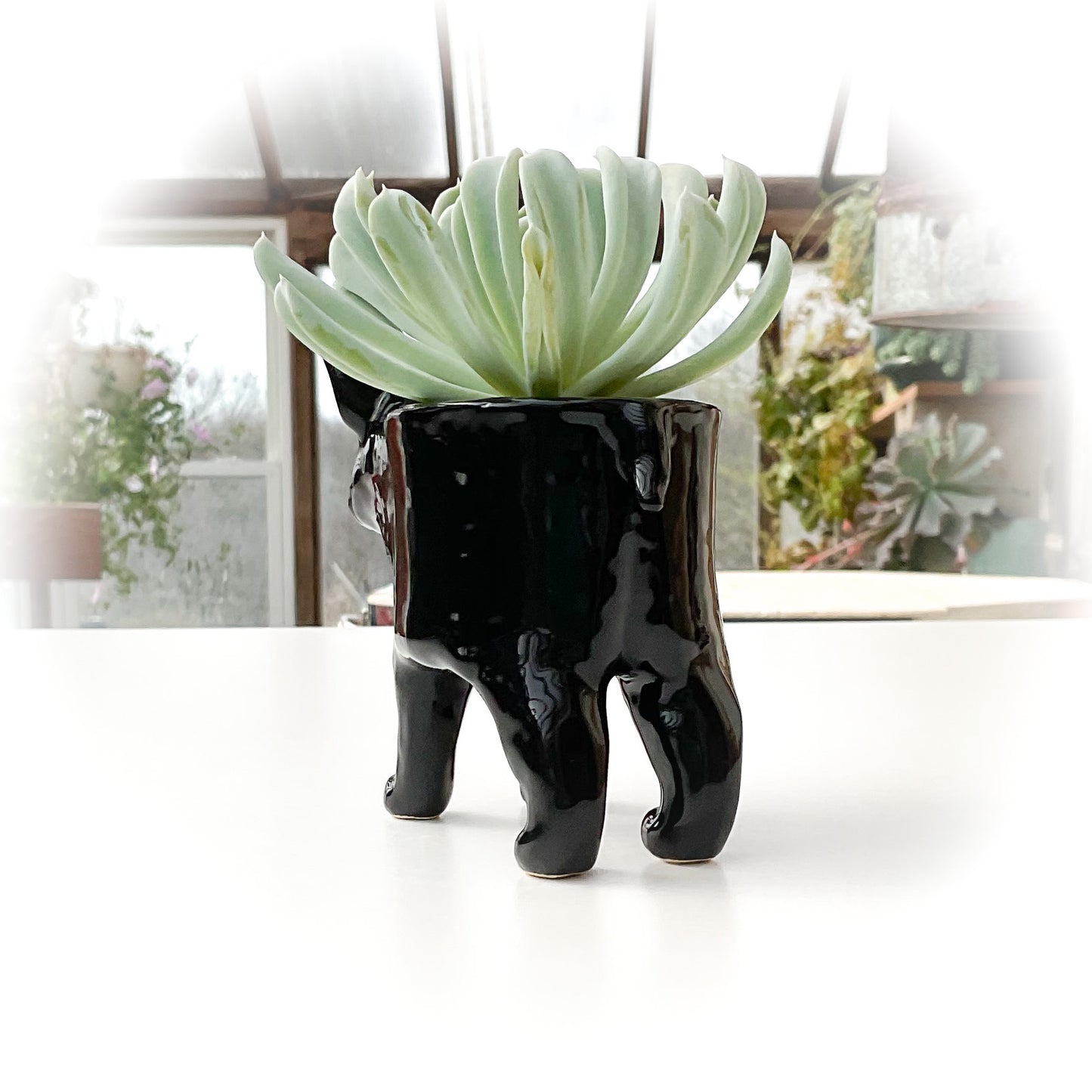 French Bulldog Dog Planter - Ceramic Dog Plant Pot