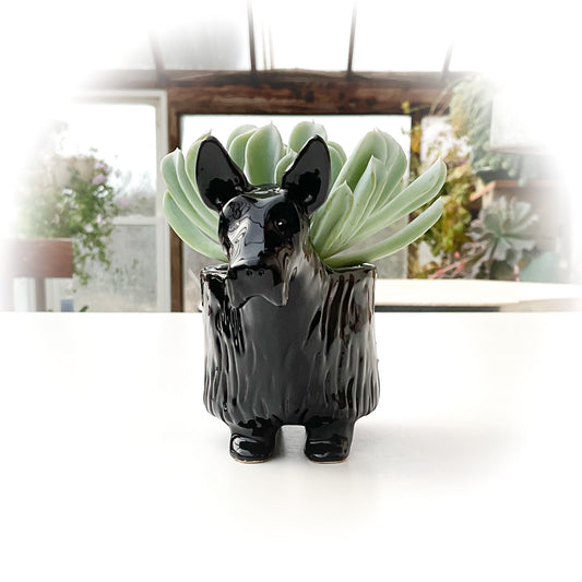 Scottish Terrier Dog Planter - Ceramic Dog Plant Pot