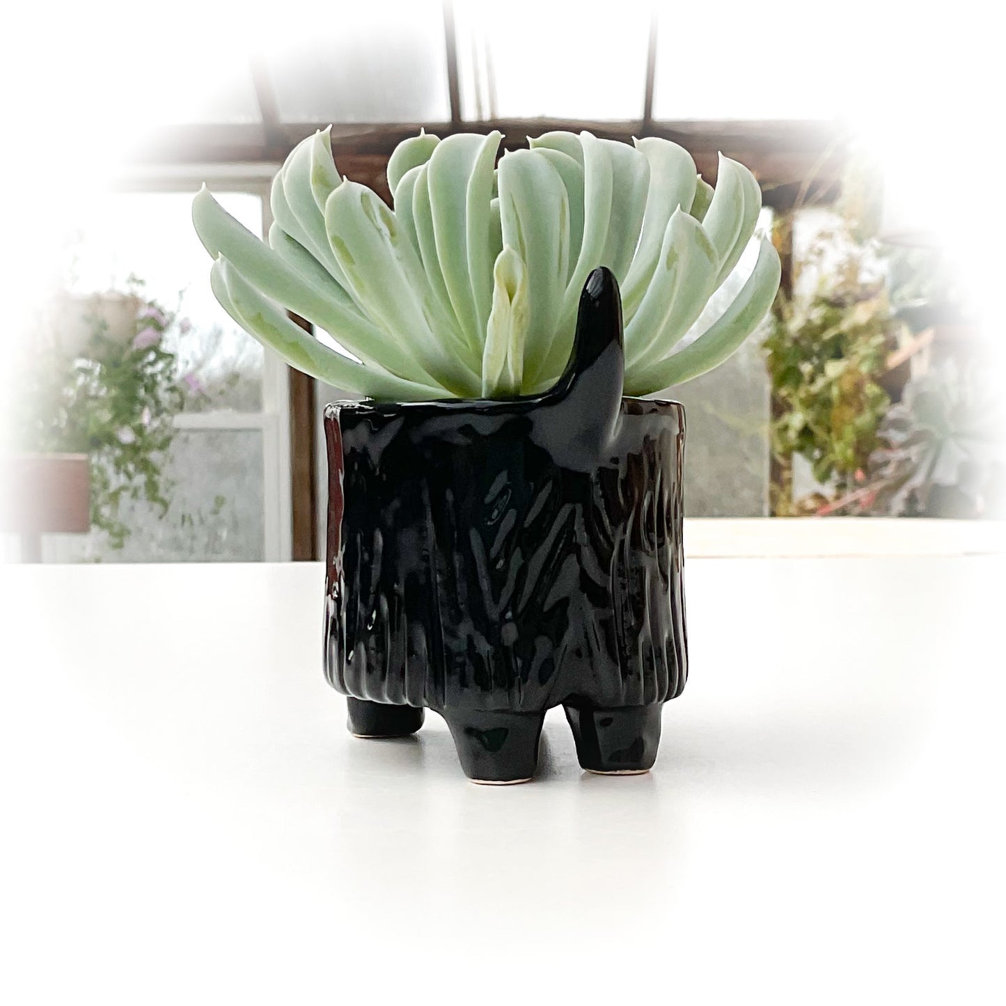 Scottish Terrier Dog Planter - Ceramic Dog Plant Pot