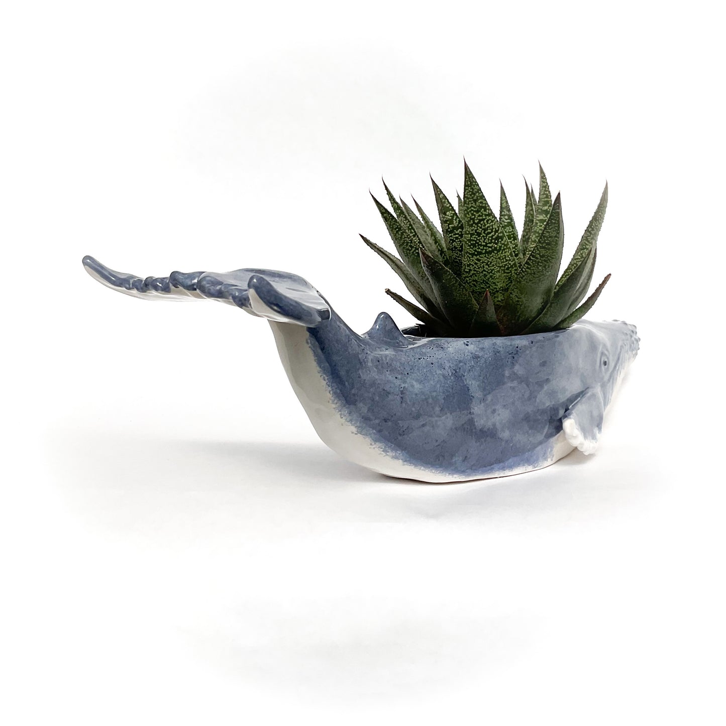 Humpback Whale Pot - Ceramic Whale Planter