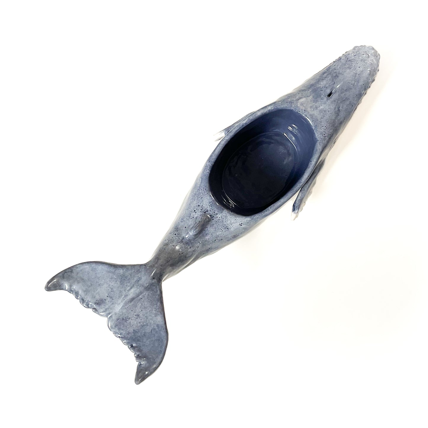 Humpback Whale Pot - Ceramic Whale Planter