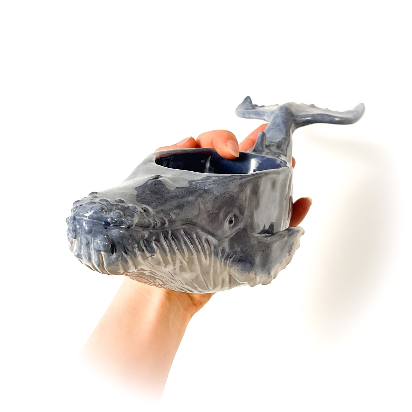 Humpback Whale Pot - Ceramic Whale Planter