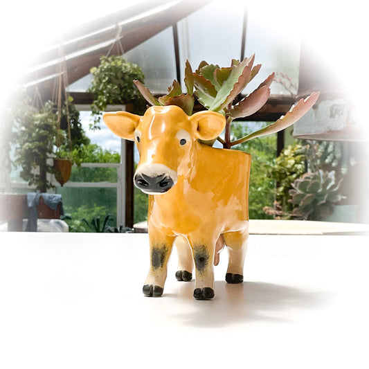 Jersey Cow Pot - Ceramic Dairy Cow Planter