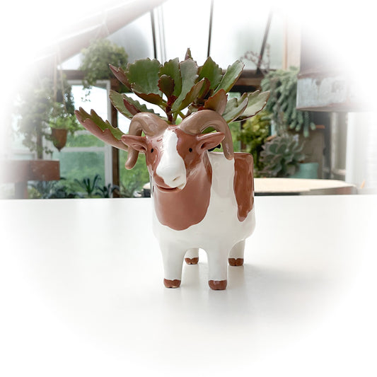 Spotted Icelandic Sheep Pot - Ceramic Sheep Planter