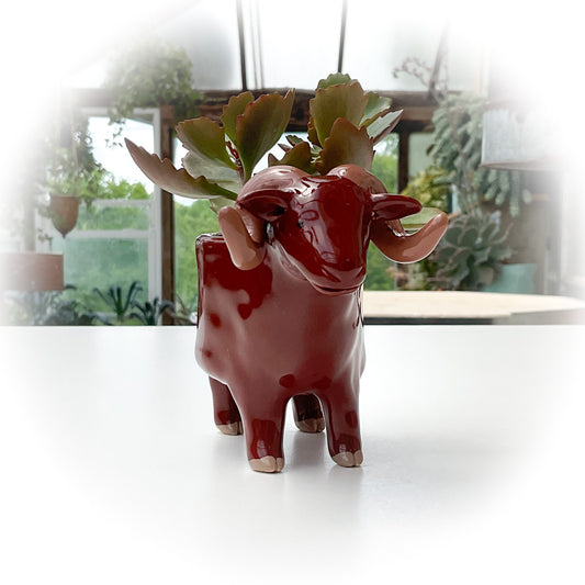 Chestnut Brown Sheep Pot - Ceramic Sheep Planter