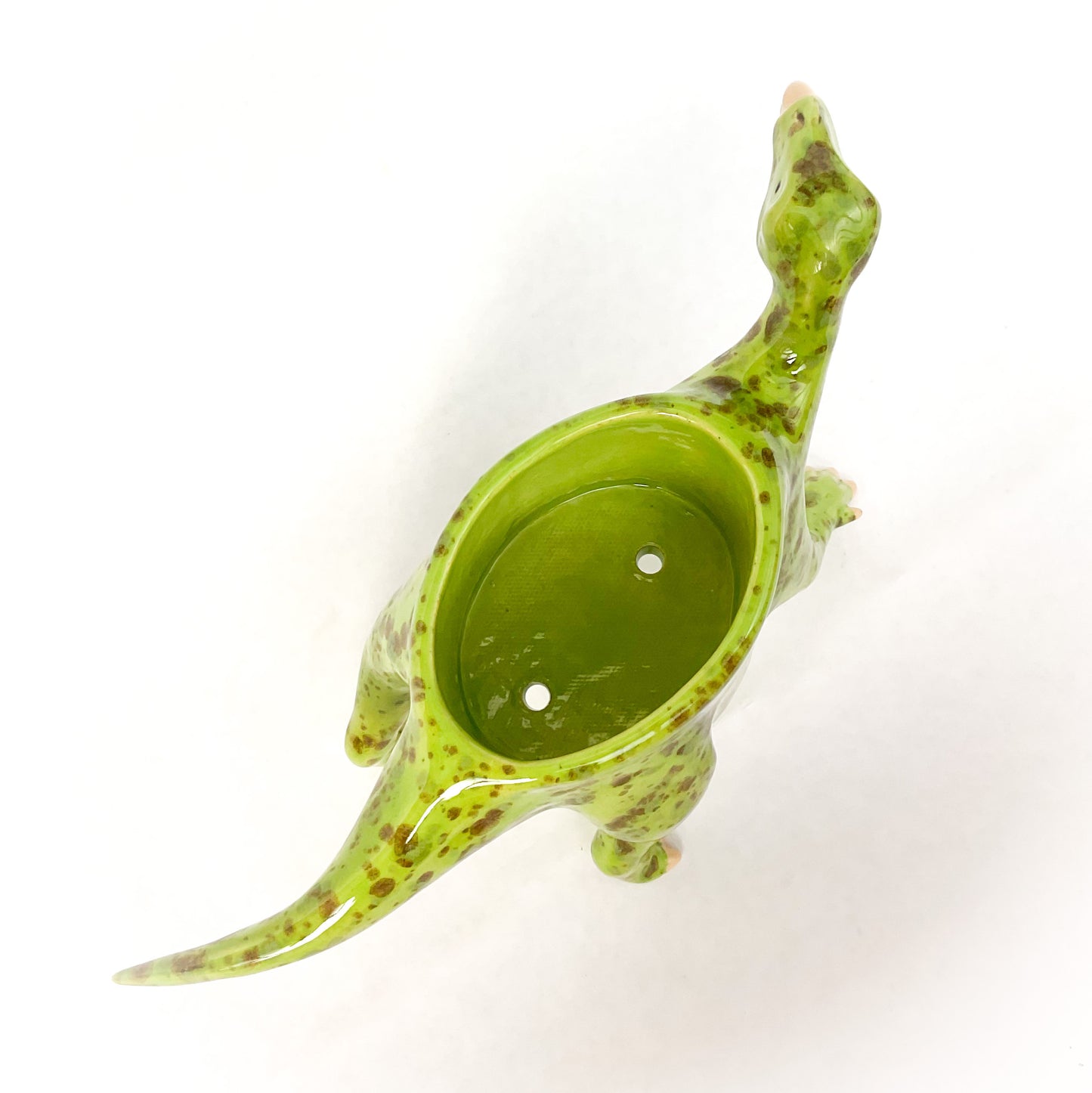 Iguanodon Dinosaur Planter - Dinosaur Succulent Planter