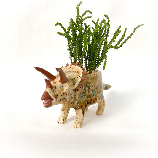 Speckled Brown Triceratops Dinosaur Planter - Dinosaur Succulent Planter